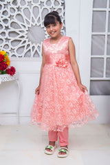 FANCY 3D EMBROIDERED FROCK IN PINK COLOR MADE WITH IMPORTED NET FABRIC