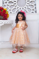 FANCY 3D EMBROIDERED BABY FROCK IN PEACH COLOR MADE WITH IMPORTED NET FABRIC